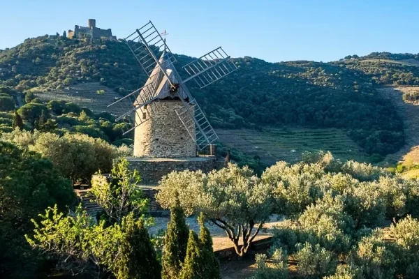 activites-le-moulin-a-huile-collioure