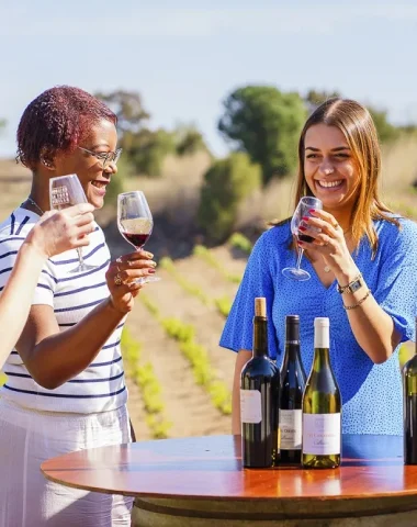 collioure-au-printemps--la-coloree-degustation-de-vin