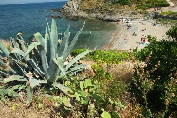 plage-les-roches-bleues-collioure