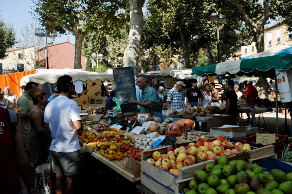 10 good reasons to come to Collioure