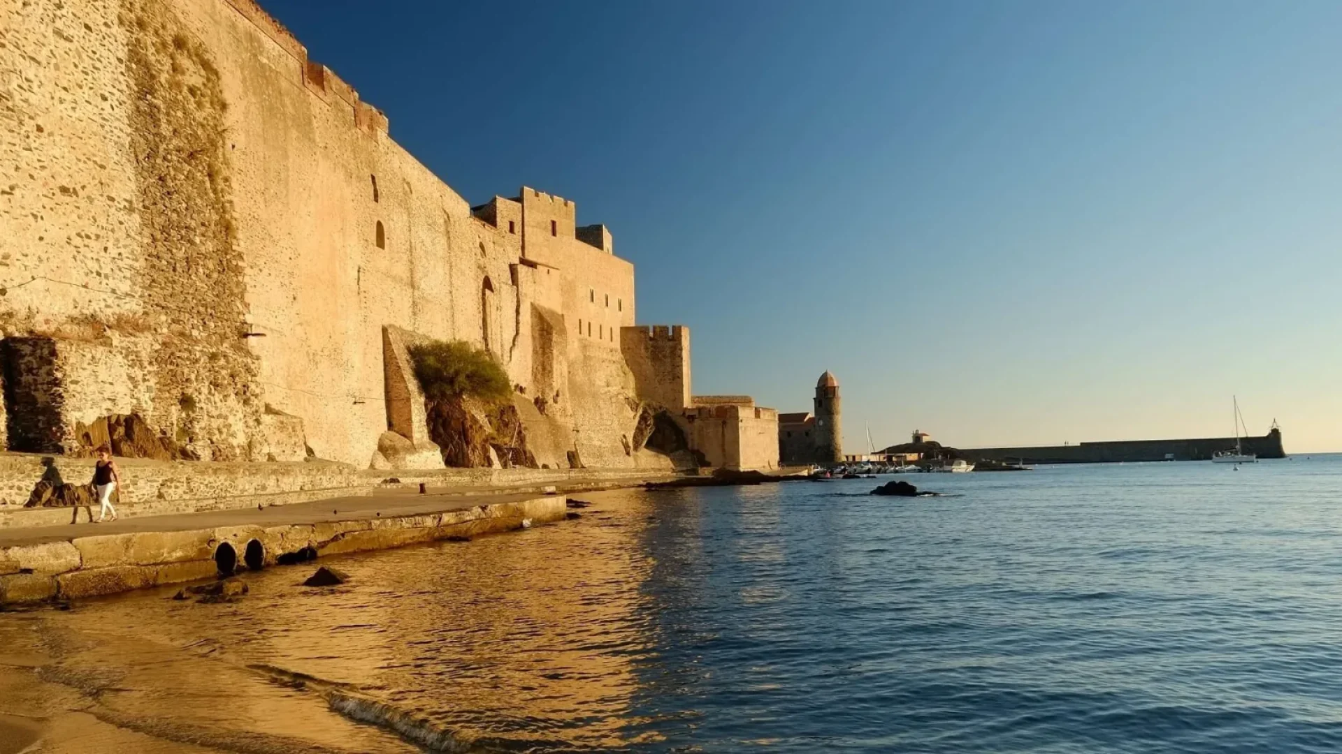 Château royal Collioure