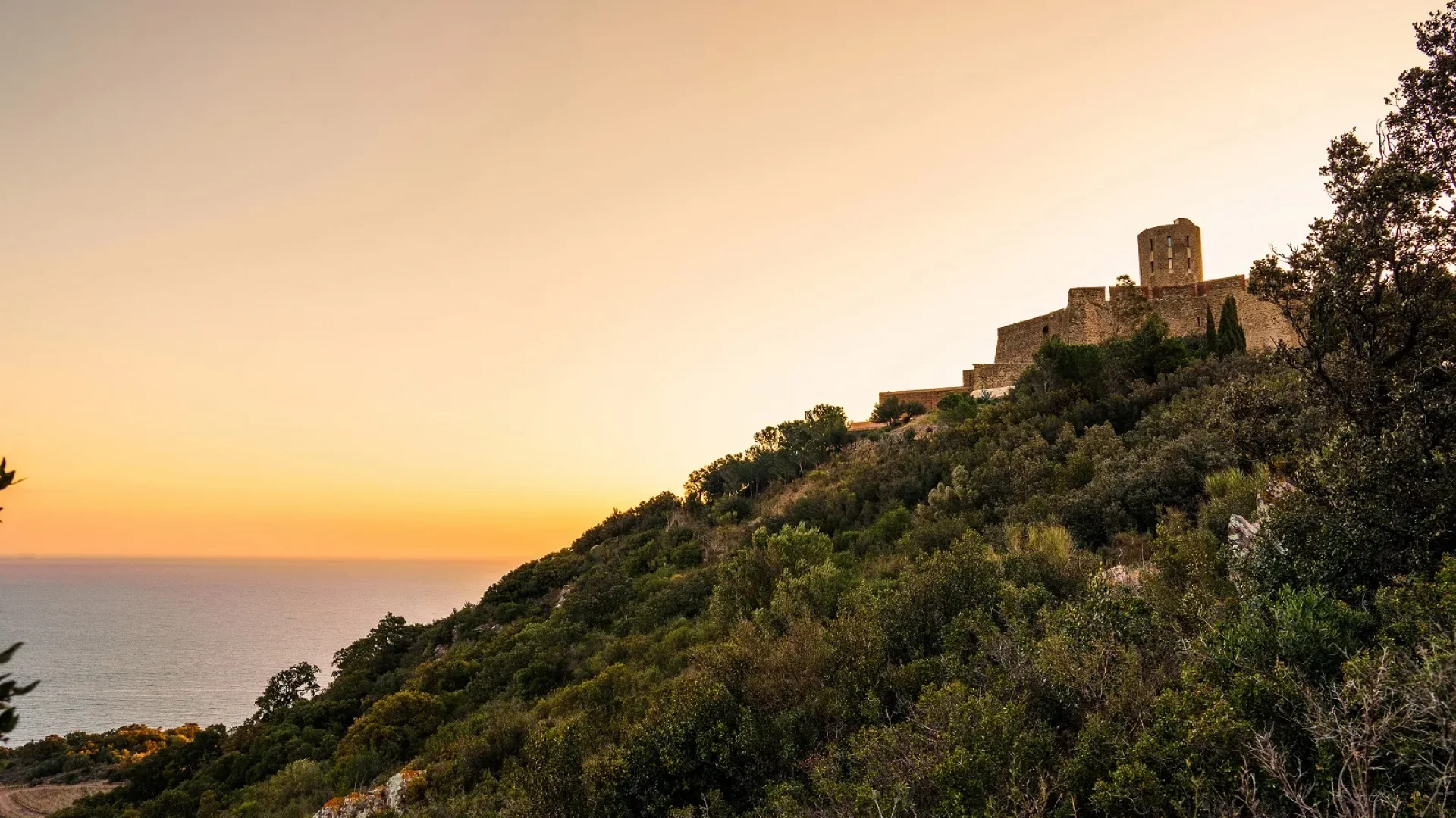 -le-fort-saint-elme-collioure-