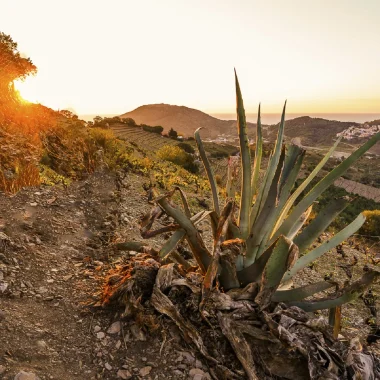 activités-nature-collioure