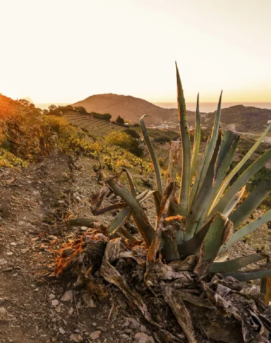 activités-nature-collioure