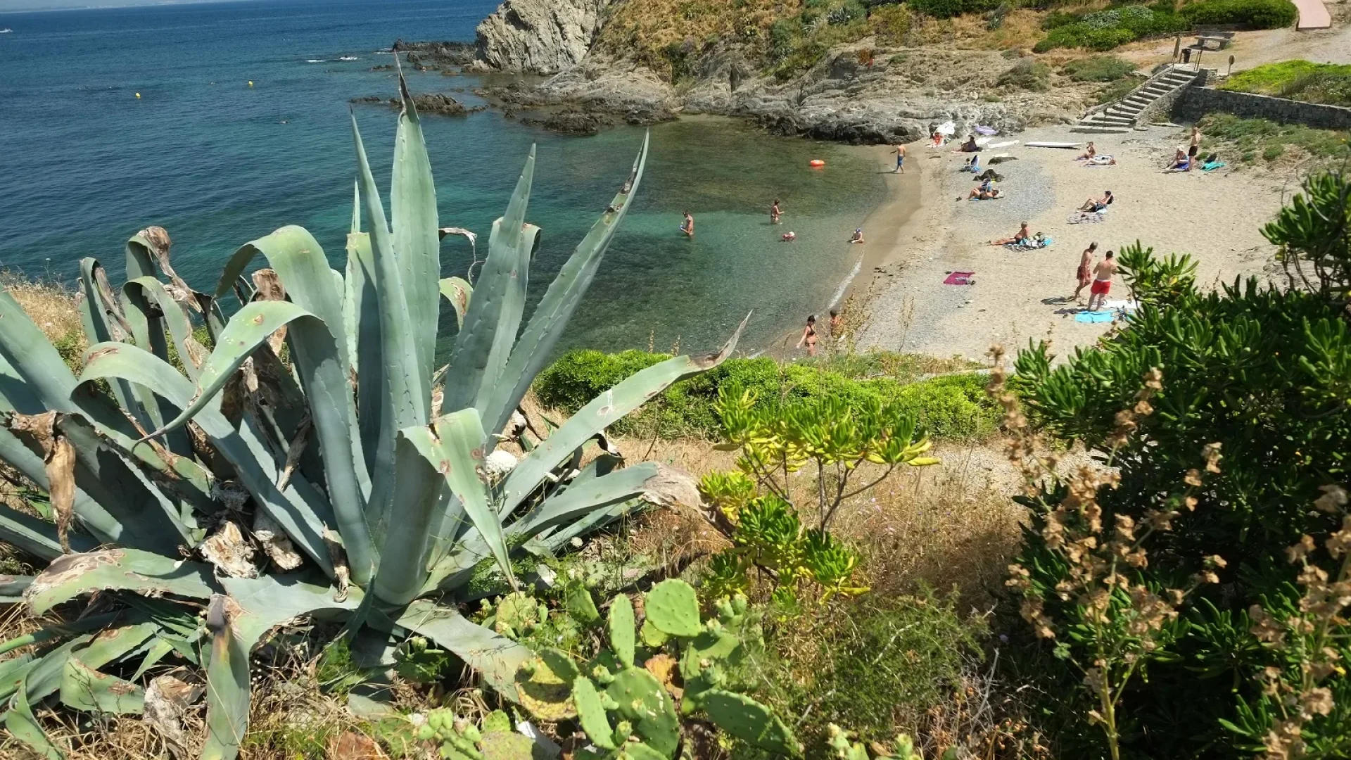 -plage-les-roches-bleues-collioure