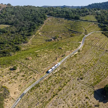 loisirs-collioure-petit-train