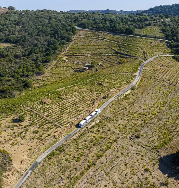 loisirs-collioure-petit-train