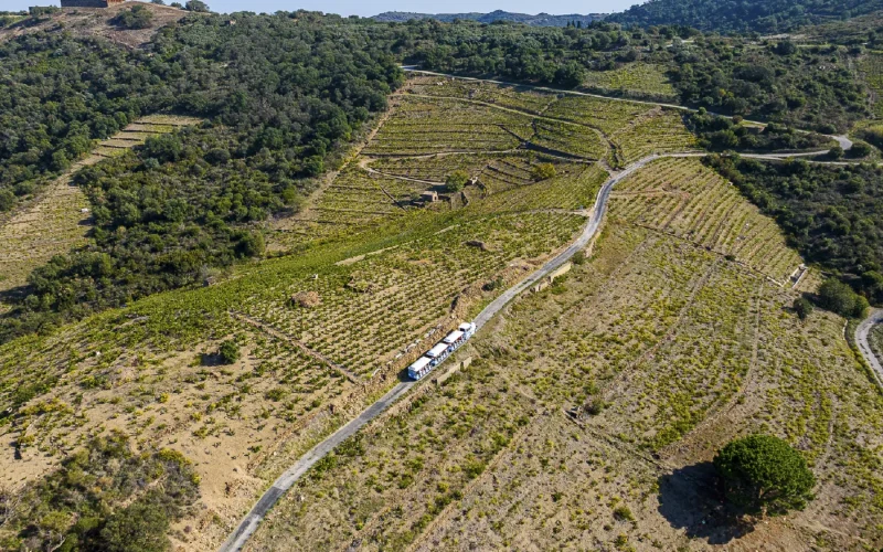 loisirs-collioure-petit-train