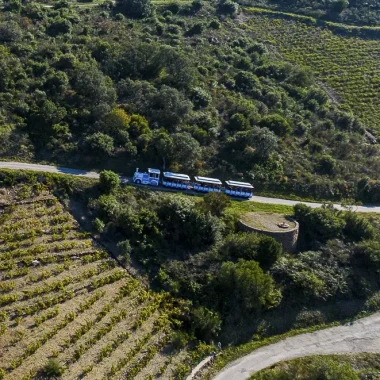 loisirs-le-petit-train-touristique-collioure