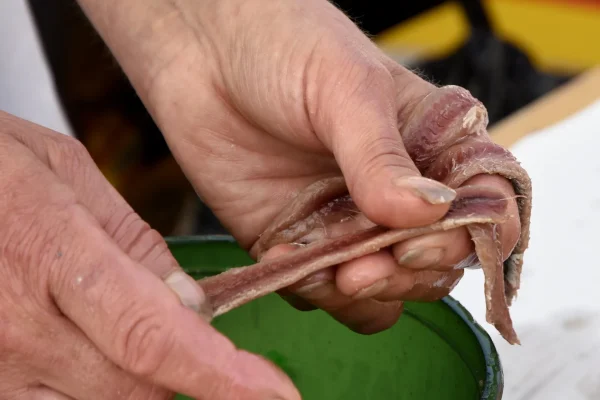 les-anchois-demonstration-anchois-collioure