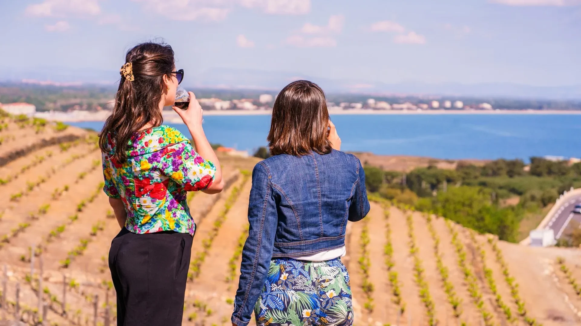 Le-vin-Collioure